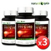 Liver Health Milk Thistle Silymarin Liver Supplement, 3 Bottles (Approx.