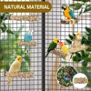 Bird Perches,4pcs Natural Wood Birds Stand Branch, Bird Perch Chewing
