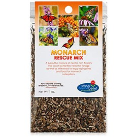 Beauty Beyond Belief Monarch Butterfly Rescue Wildflower Seed Packet - 1oz, Open-Pollinated Wildflower, No Fillers, Annuals, Perennials and Milkweed Seeds for Monarch Butterfly 1oz