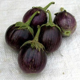 Eggplant Seeds - Round Purple - 1 Oz ~10000 Seeds - Non-GMO, Heirloom - Asian Garden Vegetable