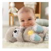 Fisher Price Nutria De Mattel Para Bebés 0-6 Meses