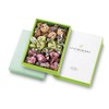 Monroir Leaf Memory Gift Box (Orange, Peach, Green, 27 Pieces)