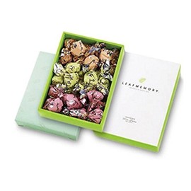 Monroir Leaf Memory Gift Box (Orange, Peach, Green, 27 Pieces) [Gift Wrapped, Shop-Exclusive Bag Included] Birthday Present