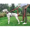 Tuff Pupper Heavy Duty Double Handle Dog Leash | Twist