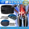 [Free BIRD] Lower Back Pain Belt, Lower Back Support, Pelvic