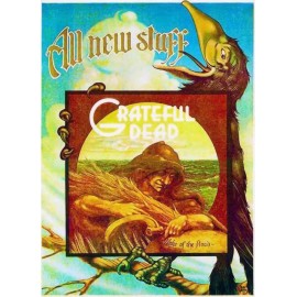 1973 Grateful Dead Wake of the Flood Album Promo Metal Fridge Magnet 2.7x4 8425