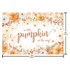 Aprophic Pumpkin Baby Shower Decorations - Fall Baby Shower Banner