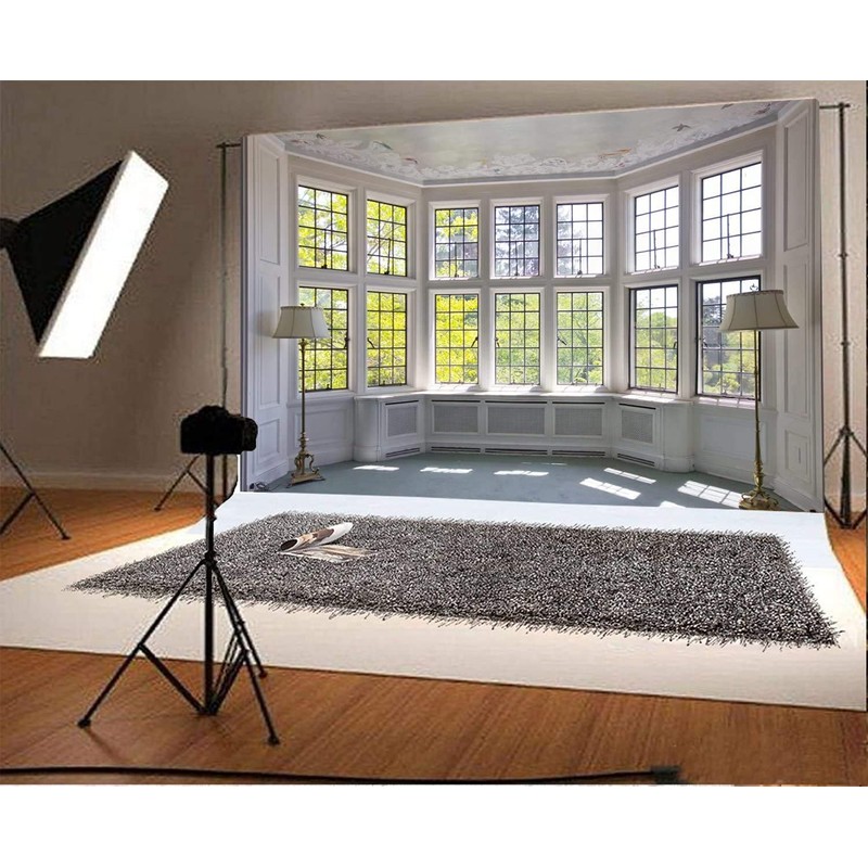 CSFOTO Polyester 8x6ft Big Bright Window Backdrop Zoom Room Background
