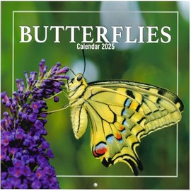 2025 Hanging Wall Calendar Bees & Butterflies Beautiful Family Planner Large Month To View Square Organiser (Butterflies)