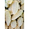 CZ Grain 6 White Bitter Melon Seeds for Planting Whit