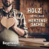 Bayerwald "Black Biter" Curved/Round Rasp Disc Diameter 125 mm x