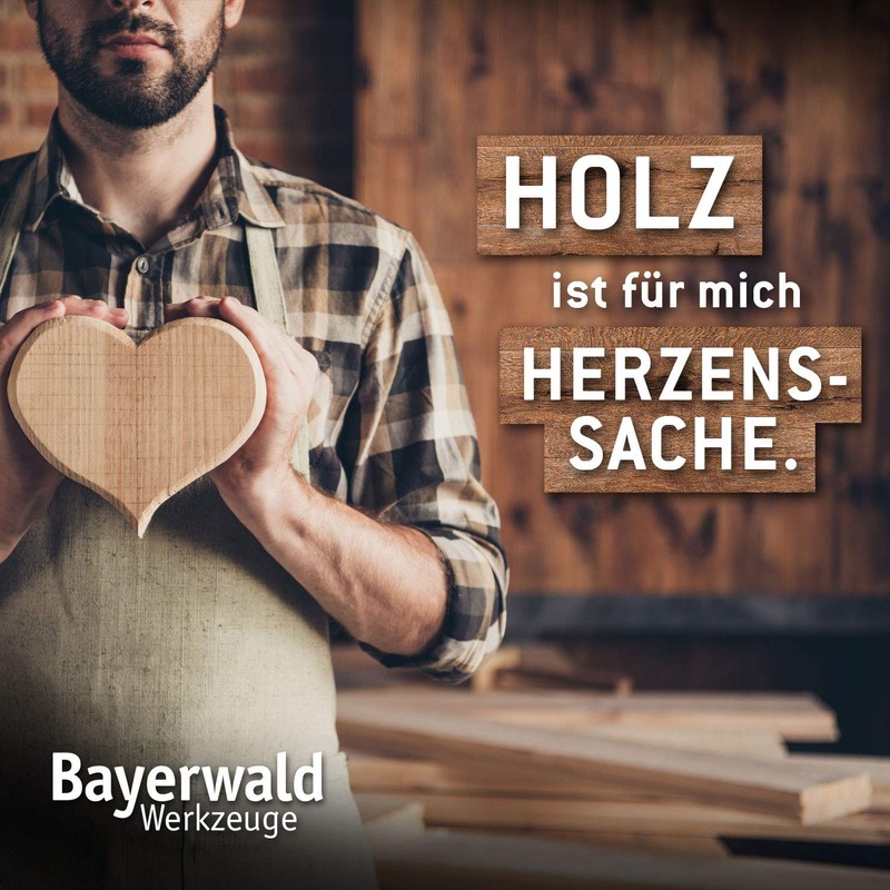Bayerwald "Black Biter" Curved/Round Rasp Disc Diameter 125 mm x
