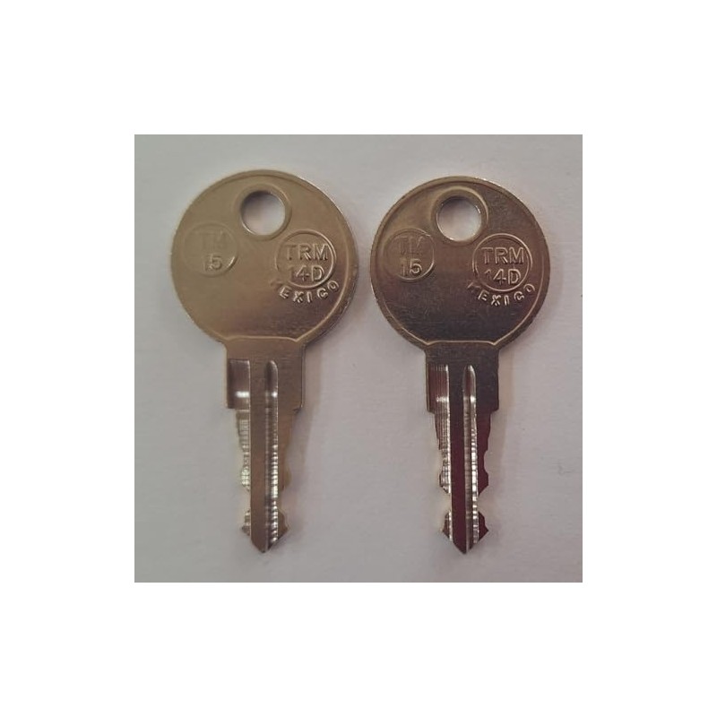 Generic 2 Replacement Keys Cut to Key Code J202 for