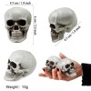 YumSur 10 Pieces Resin Skull Small Realistic Human Skull Replica