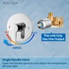 Airuida Round Single-Function Shower Handle Trim Kit Wall Mount Brass