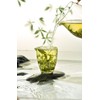 Hezuo Golden Green Tea Loose Leaf - Refreshing & Aromatic