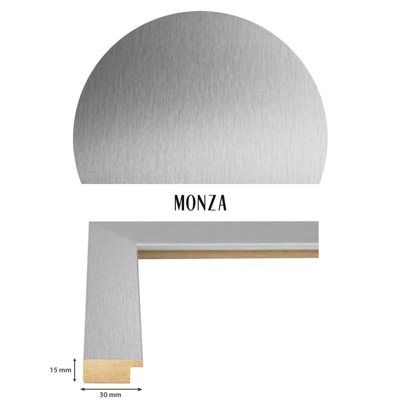 Bildershop-24 Monza Picture Frame in Silver in 21 x 29.7