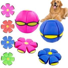 OOXYG Dog Flying Disc Toy, 2 Pack Pet Toy Flying Saucer Ball for Dogs, Interactive Doggy Disc Ball for Medium Large Dogs, Flying Saucer Ball for Rolling Fun, Safe on Teeth Blue+Pink