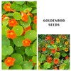 100+ Mix Nasturtium Seeds (Tropaeolum majus) Open Pollinated Easy to