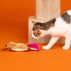 Fringe Studio Launcher Cat Toy Catch ME Flyin', Pet Shop