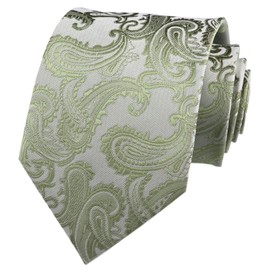 Men Tender Green Paisley Ties Dusty Sage Green Stylish HANDMADE Luxury Formal Suit Self Neckties