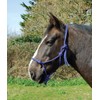 Rhinegold Rope Halter-Full-Royal