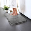 Carvapet Non-Slip, Water Absorbent Bath Mat, Bathroom Rug, Soft Plush,
