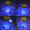 Butterfly Collection With LED Light - Animated Glass Jar Gift