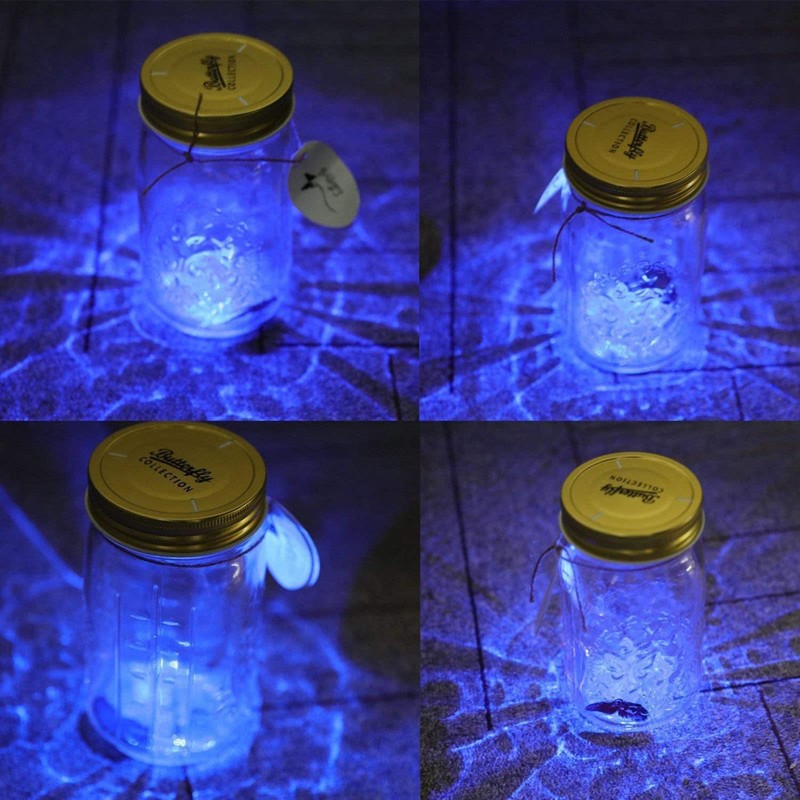 Butterfly Collection With LED Light - Animated Glass Jar Gift