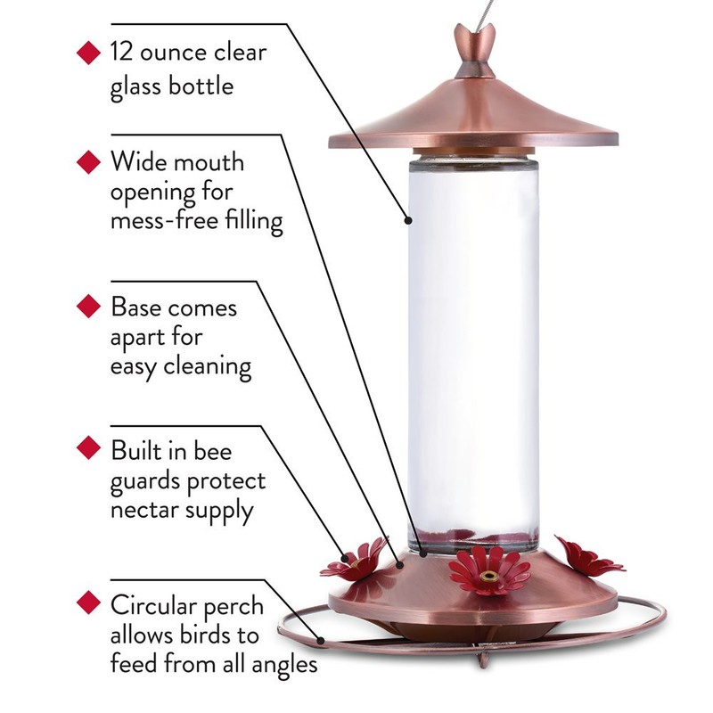 Perky-Pet 710B Elegant Glass Hummingbird Feeder, Copper