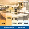 Bulbrite 473060-2PK - 60W - T3 - Candelabra Base -