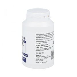 Glucosamine + Chondroitin Capsules for Dogs Pack of 120