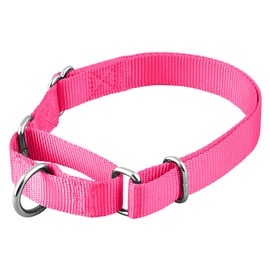 Native Pup Martingale Dog Collar, Adjustable for Small, Medium, Large pet and Puppies Accessories, Cute Colors for Male, Female, Boy, Girl, Puppy (Small, Hot Pink)