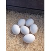 Ceramic Chicken Nesting Eggs (White) - Fake Training Eggs for