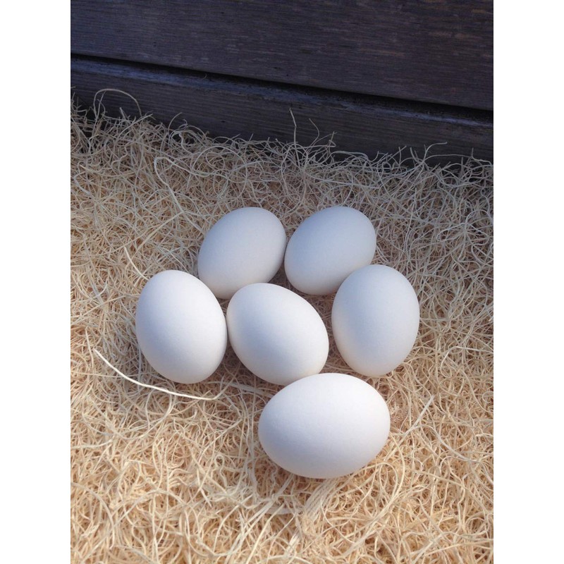 Ceramic Chicken Nesting Eggs (White) - Fake Training Eggs for