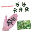 Totority 40pcs Plant Support Clips Flower Lever Loop Clips for