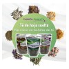 Té Quiere Te eucalipto bugambilia gordolobo en herbal Sin ser