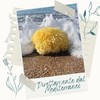 Natural Mediterranean Body Sponge Non Synthetic (11-12cm with Cord)
