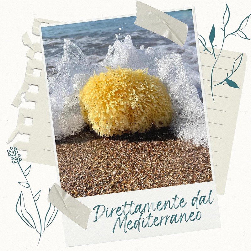 Natural Mediterranean Body Sponge Non Synthetic (11-12cm with Cord)