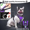 WINSEE PET-MG3PURPLE-XL