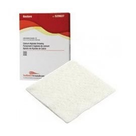 Hollister Restore Calcium Alginate With Silver 2'X2' - Box of 10 - Model 529967