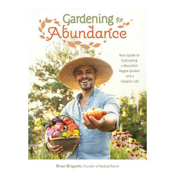 Gardening for Abundance: Your Guide to Cultivating a Bountiful Veggie
