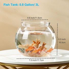 Newpol Newpol Mini Plastic Aquarium Starter Kits, Fish Tank (0.8Gallon/ 3L)