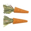 20pcs Carrot Shaped Hamster Toy Teeth Grinding Decorative Crude Fiber