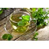 Meßmer Organic Mint | Refreshing | 18 Tea Bags |