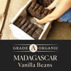 10 Organic Madagascar Whole Vanilla Beans, Grade A Pods, Premium