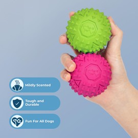 Best Pet Supplies Squeaky Rubber Dog Toy, Ideal Dog Toys for Chewers, Small, Medium & Large Dogs, and Fetch Lovers Pack of 2 (Fuchsia, Green), Medium 2.5"