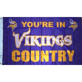 NEW 3 X 5 ft YOU'RE IN MINNESOTA VIKINGS COUNTRY FLAG