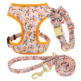 Beirui Cute Girl Dog Collars, Harnesses & Leashes Set - Adjustable Dog Collar and Leash Set with Flower - Soft Mesh Dog Vest Harness for Puppies Small Medium Dogs (Orange,XS)