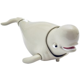 finding dory patter fish bailey